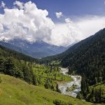 Electric Vehicle Policy 2026